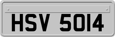 HSV5014
