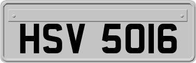 HSV5016