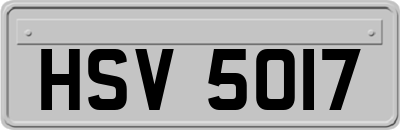 HSV5017
