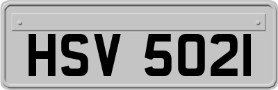 HSV5021