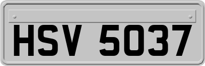 HSV5037