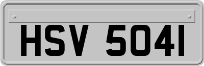 HSV5041