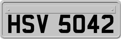 HSV5042