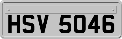 HSV5046