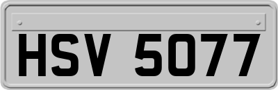 HSV5077