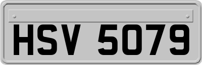 HSV5079