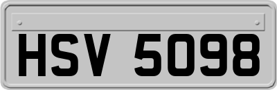 HSV5098