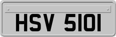 HSV5101