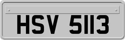 HSV5113