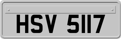 HSV5117