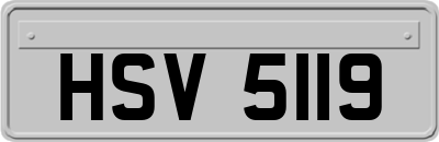 HSV5119