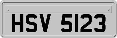 HSV5123