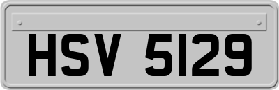 HSV5129