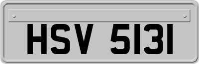 HSV5131