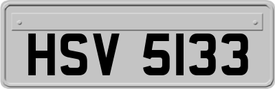 HSV5133