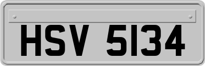HSV5134