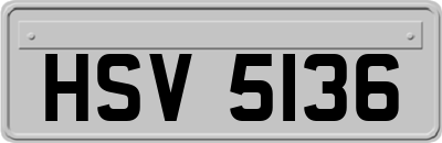HSV5136