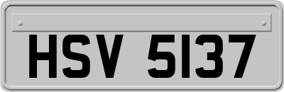 HSV5137