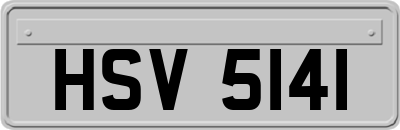 HSV5141