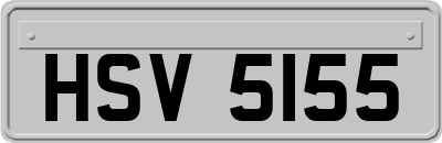 HSV5155