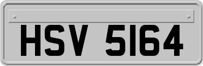 HSV5164