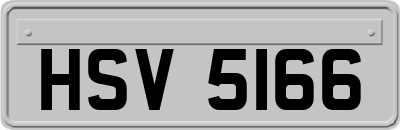 HSV5166