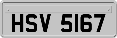 HSV5167