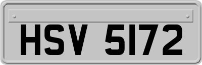 HSV5172