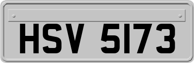 HSV5173