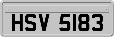 HSV5183
