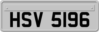 HSV5196