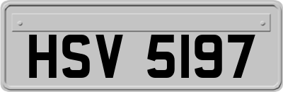 HSV5197