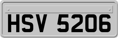 HSV5206