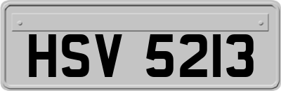 HSV5213