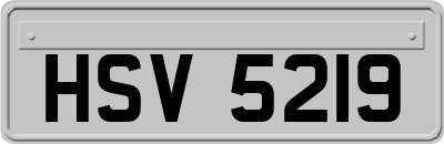HSV5219