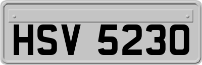 HSV5230