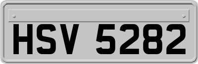 HSV5282