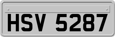 HSV5287