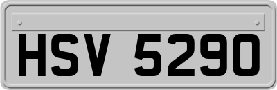 HSV5290