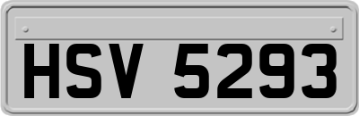 HSV5293