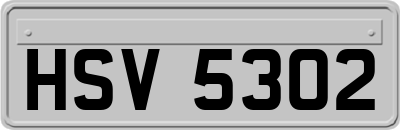 HSV5302