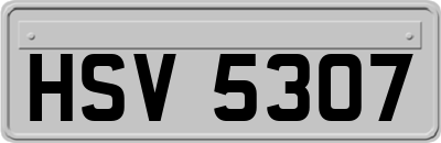 HSV5307