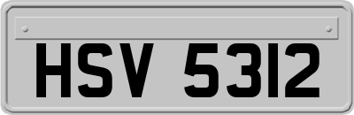 HSV5312