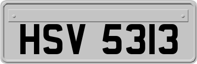 HSV5313