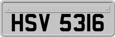 HSV5316