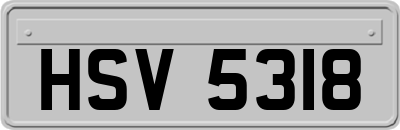 HSV5318