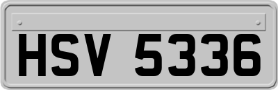 HSV5336