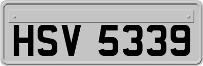 HSV5339