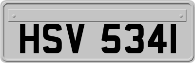 HSV5341