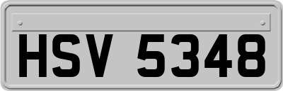HSV5348